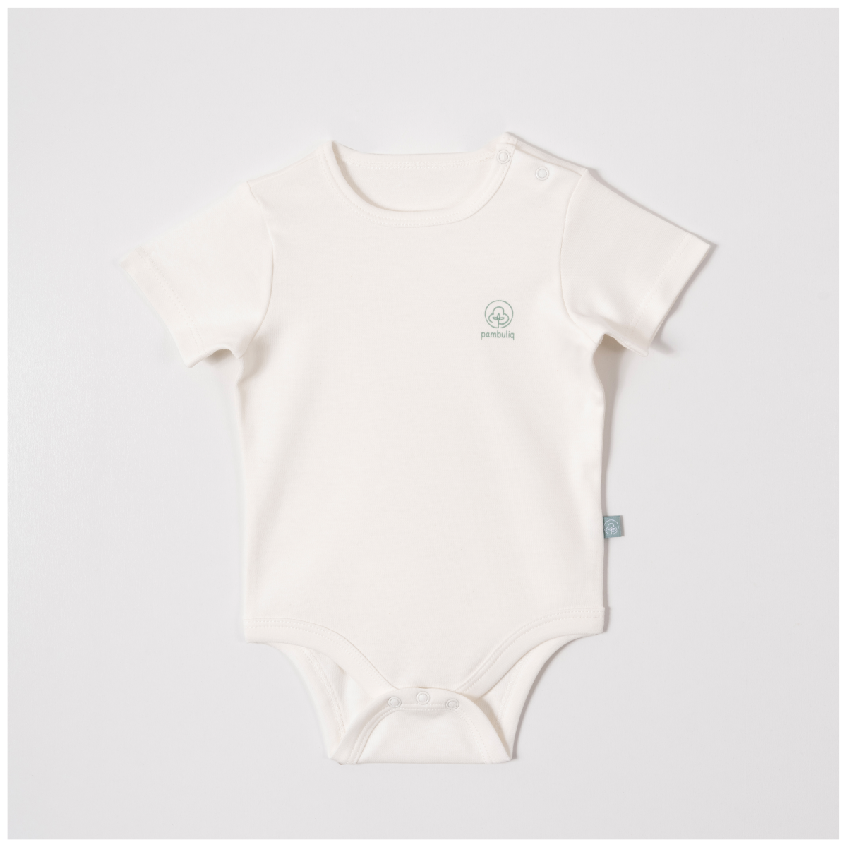 Bebek Badi 0-9M Pambuliq 2030-6543
