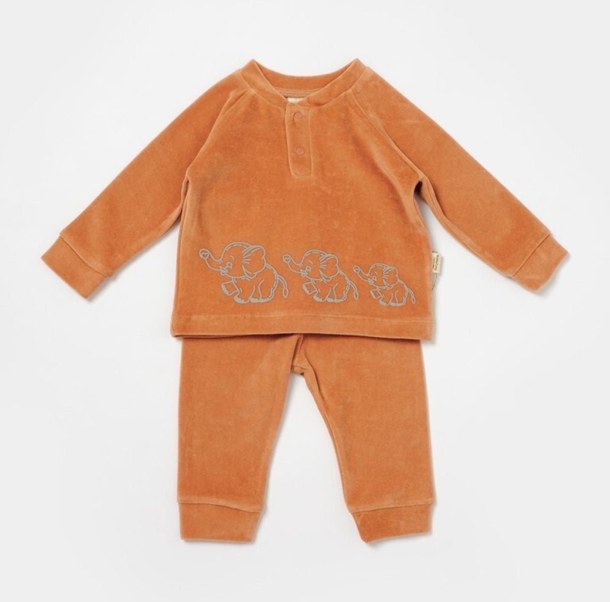 Bebek 2'li Kadife Sweatshirt ve Pantolon Takım 3-24M Baby Cosy 2022-CSYK6049 - Tivoli Mini